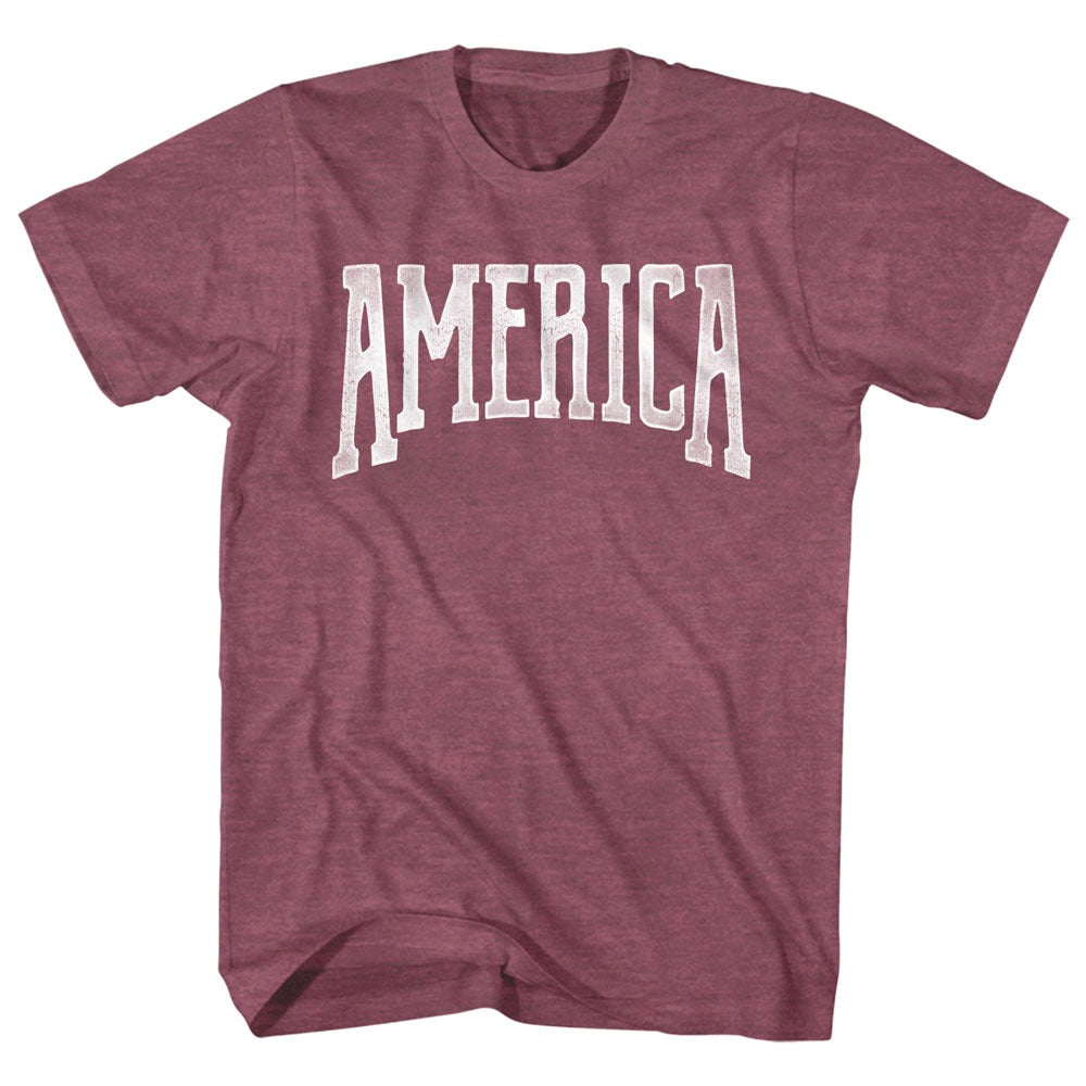 Patriotic - AMERICA Adult Shirt
