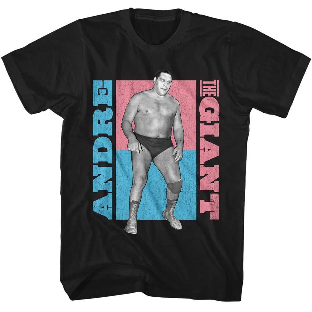 Andre The Giant - ANDRE THE GIANT ATG COLOR BLOCKS Adult Shirt
