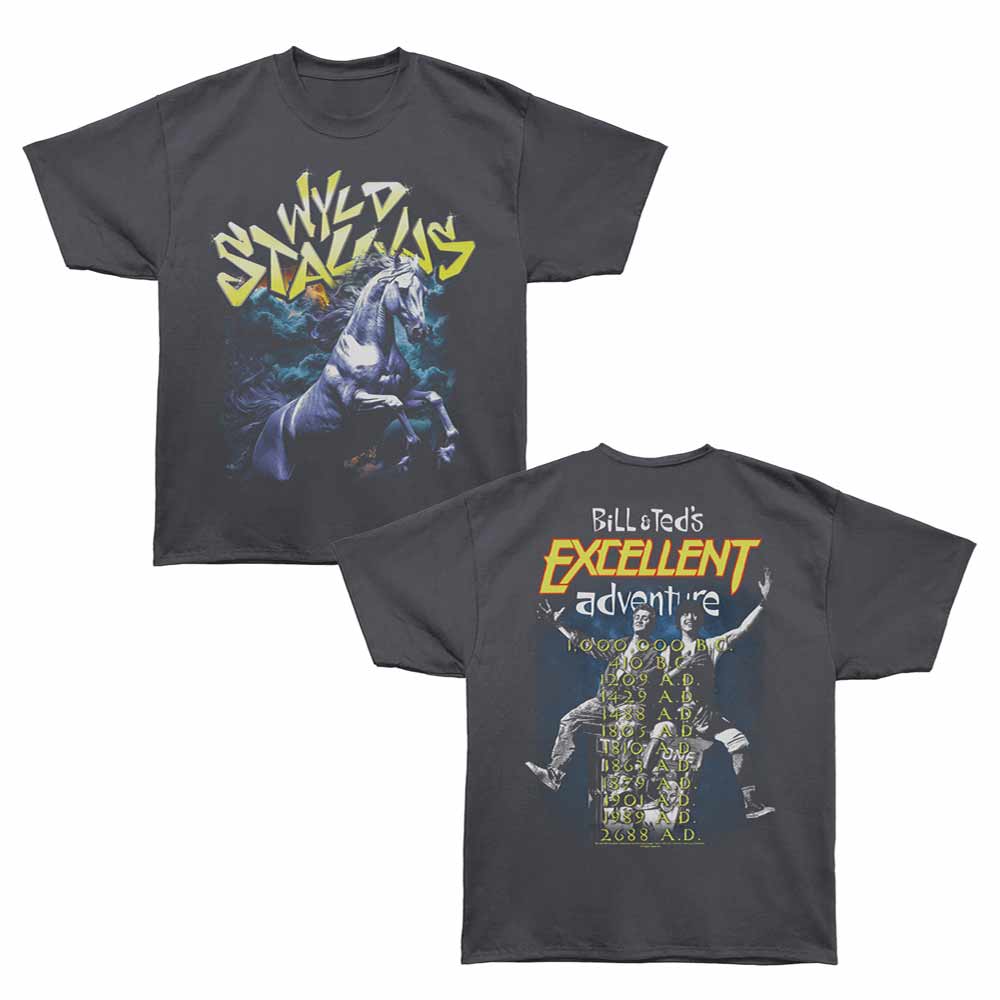 Bill and Ted - BNT WYLD STALLYNS TOUR Adult Shirt