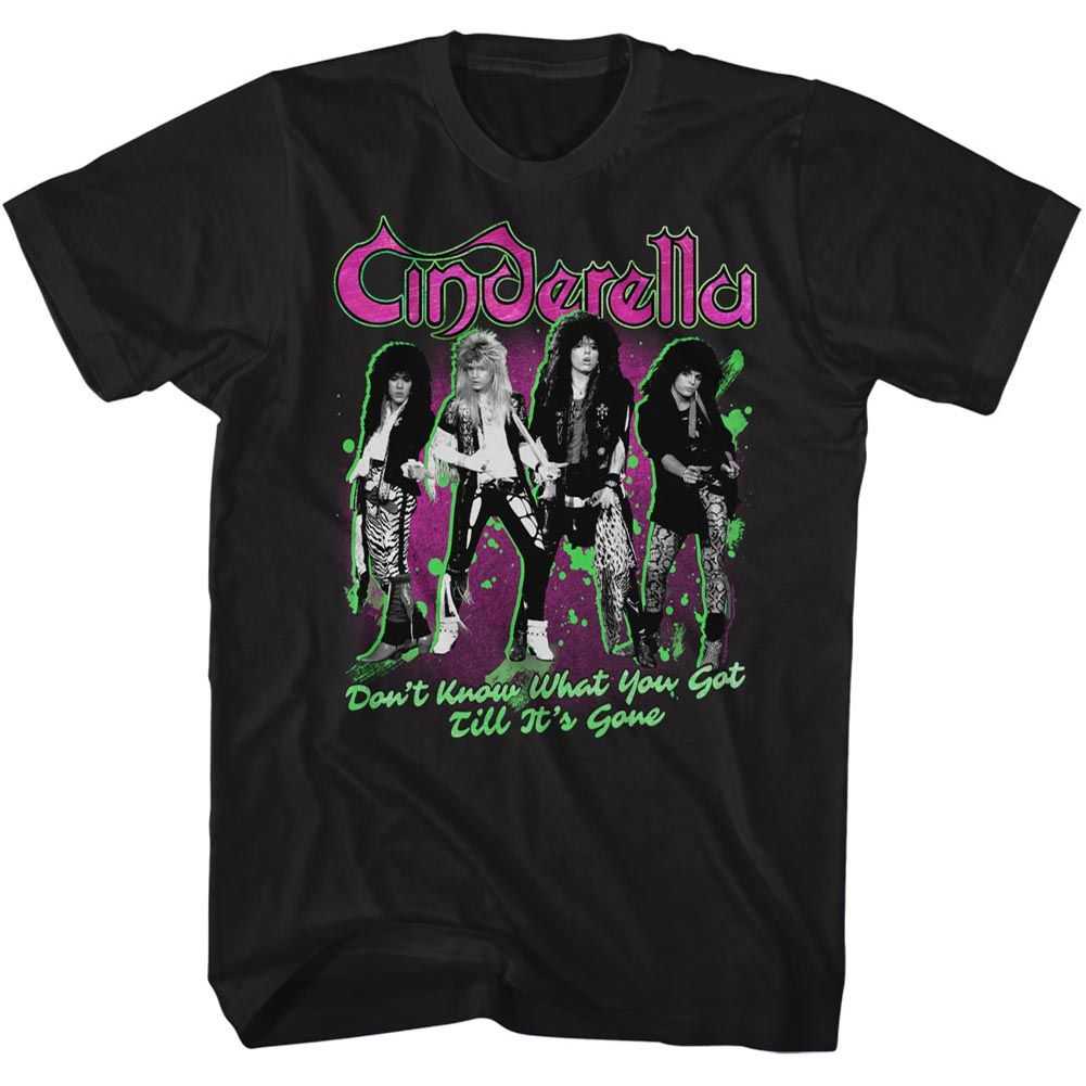 Cinderella - TILL ITS GONE Adult Shirt