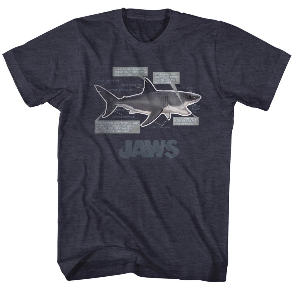 Jaws - JAWS ANATOMY Adult Shirt