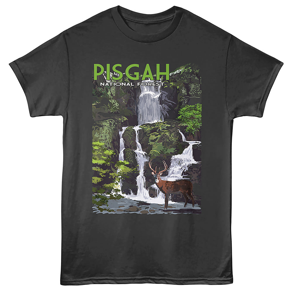 Lantern Press - PISGAH Adult Shirt