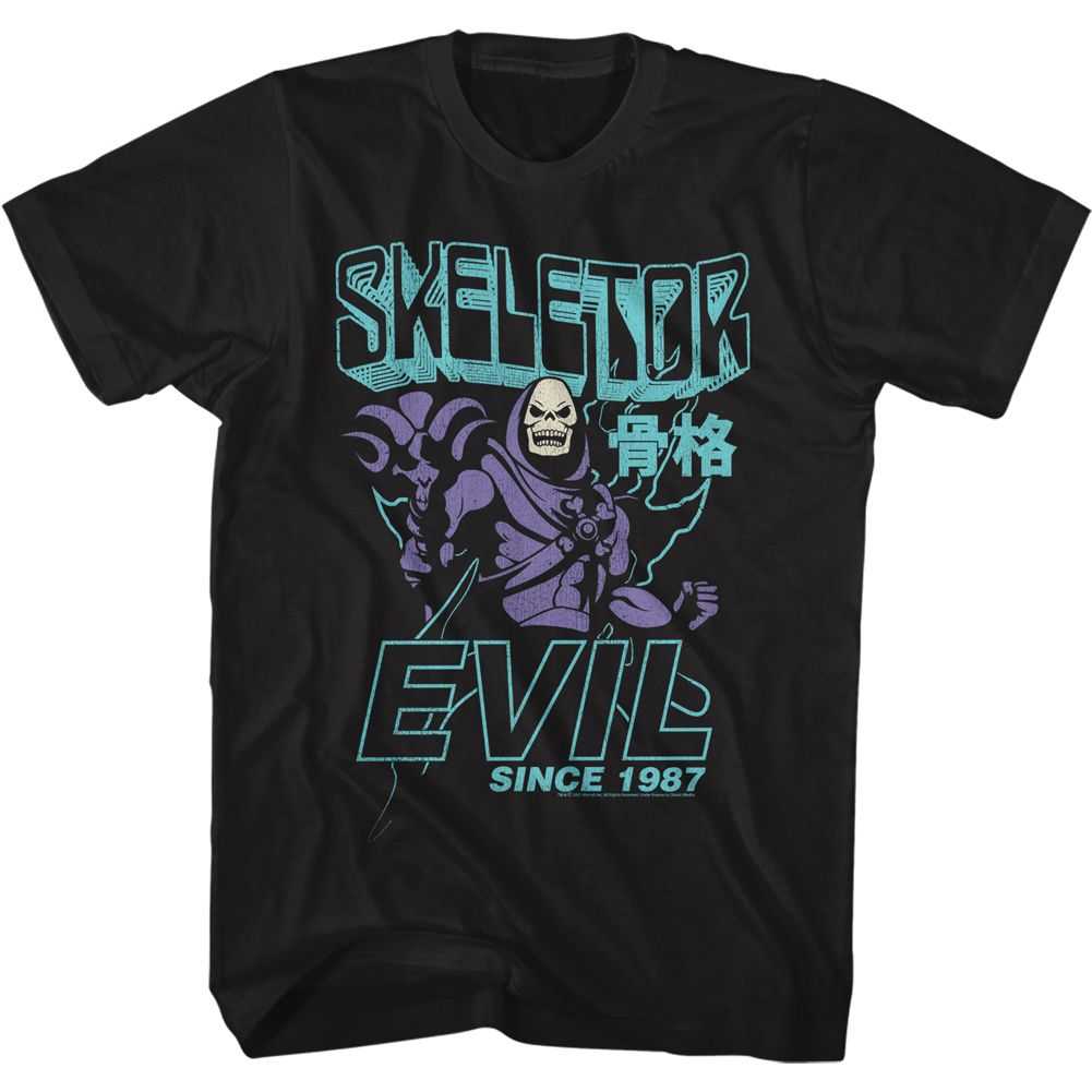 Masters Of The Universe - EVIL SINCE 1987 Adult Shirt
