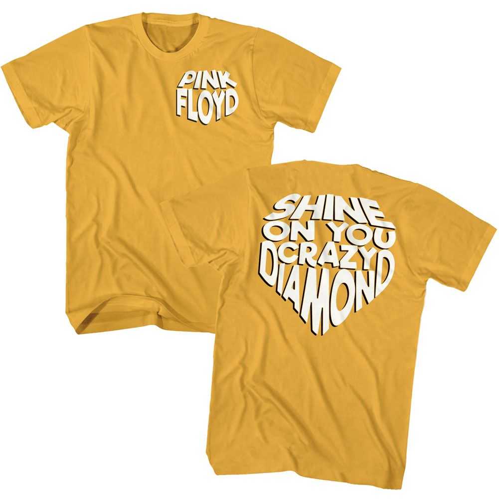 Pink Floyd - SHINE ON Adult Shirt